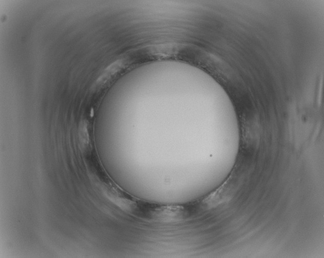 X0000076390128200610161150