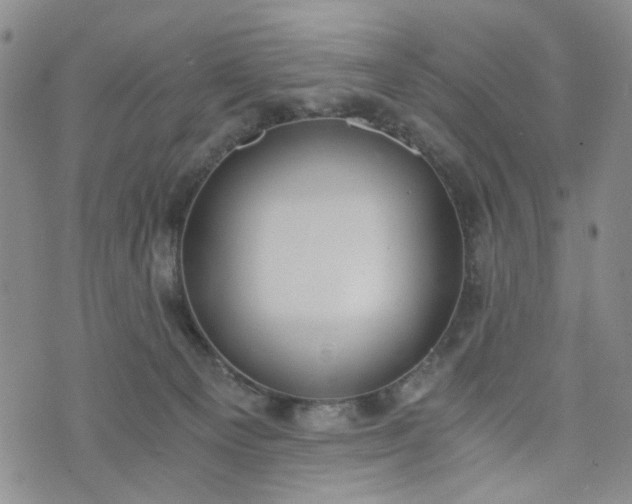 X0000076390129200610161150