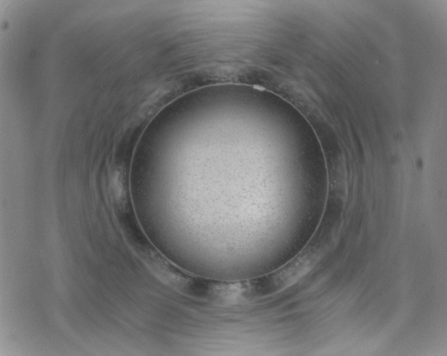 X0000076390131200610161150