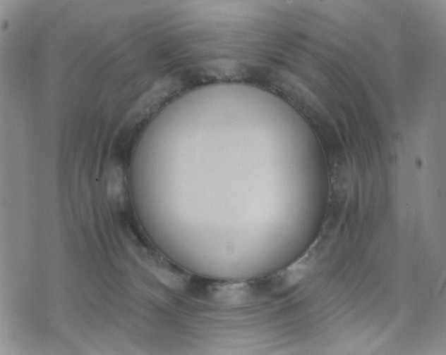 X0000076390132200610161150