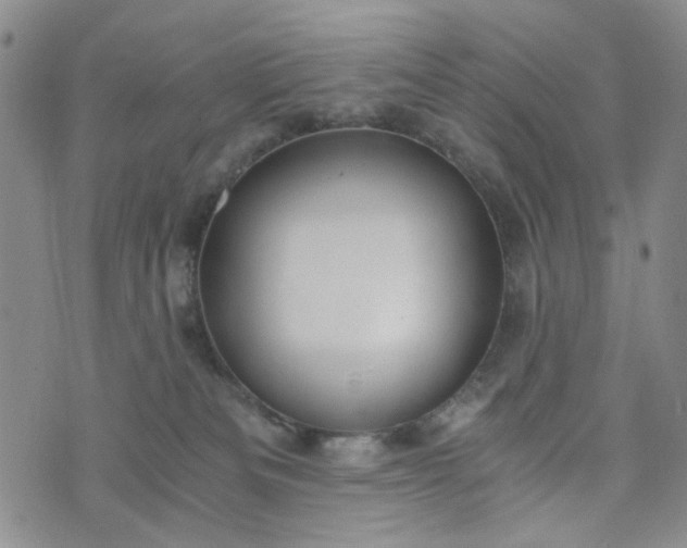 X0000076390133200610161150