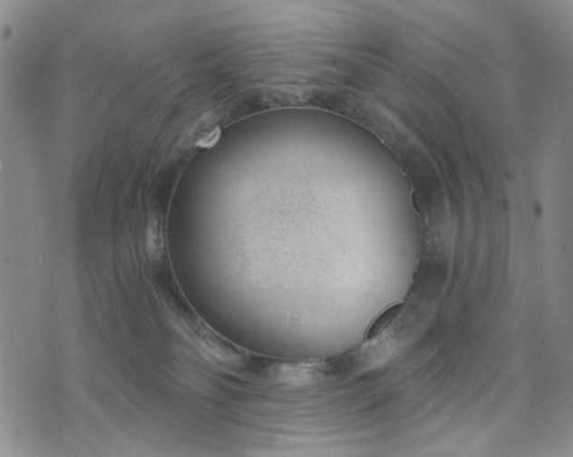 X0000076390134200610161149