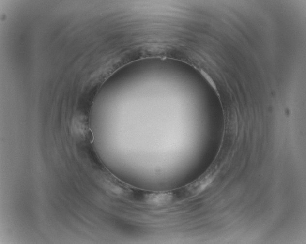 X0000076390135200610161149