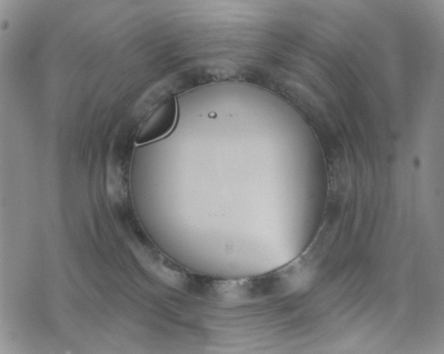 X0000076390136200610161149