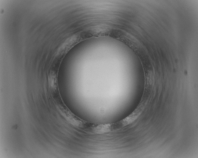 X0000076390138200610161149