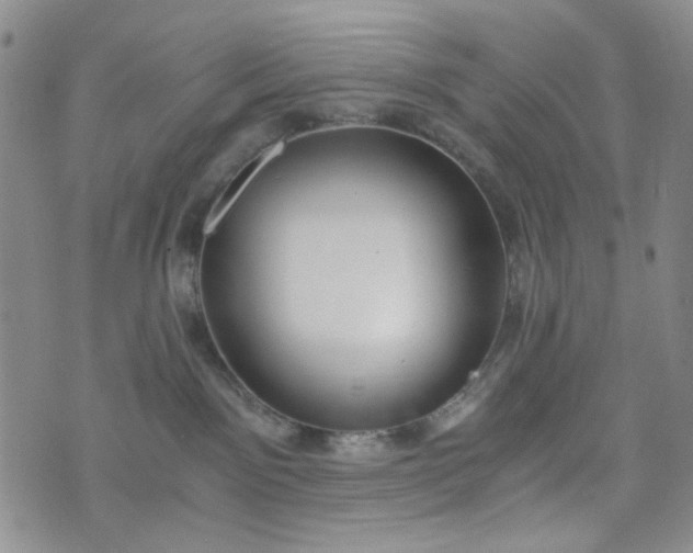 X0000076390141200610161149