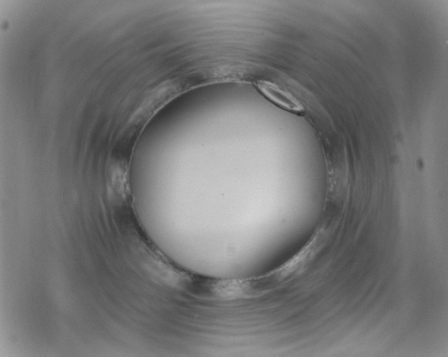 X0000076390142200610161149