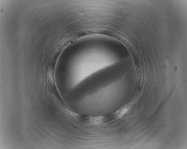 X0000076390143200610161149