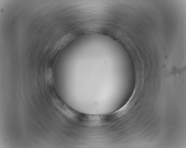 X0000076390144200610161149