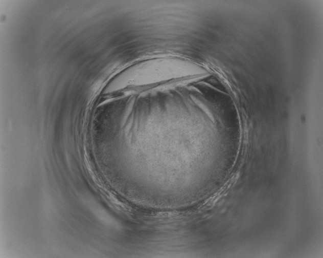 X0000076390145200610161149