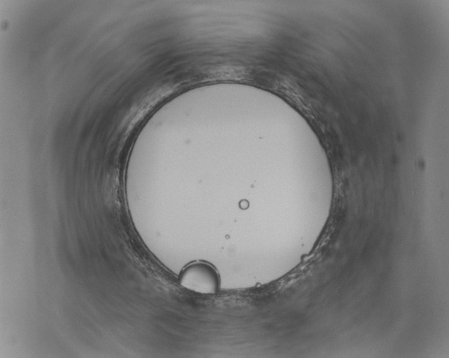 X0000076390146200610161149