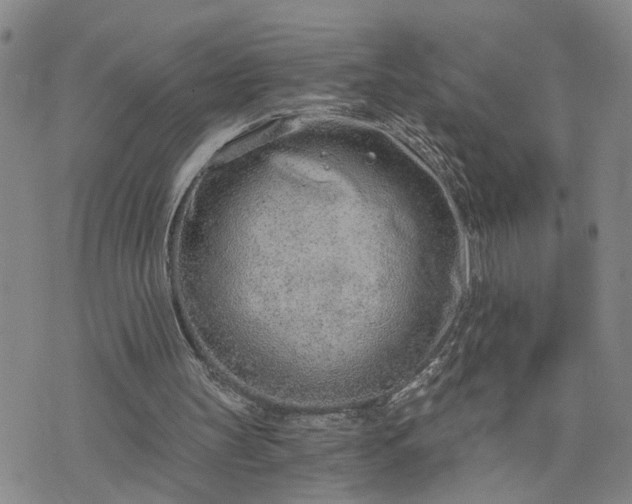 X0000076390147200610161149