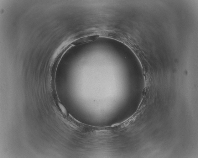 X0000076390150200610161149