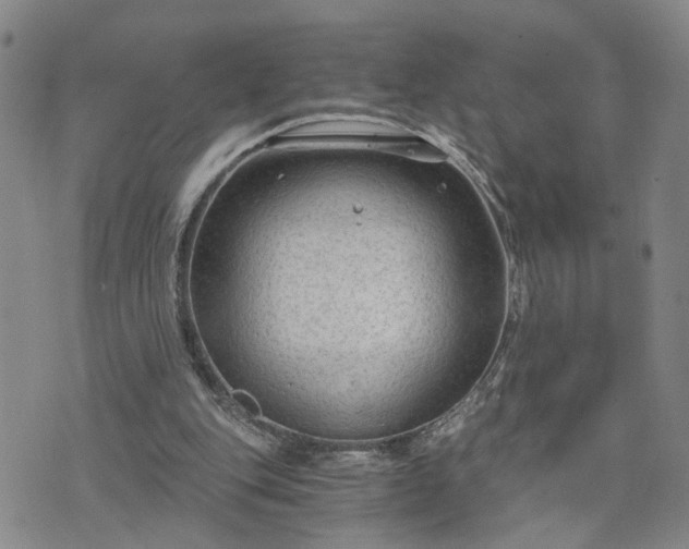 X0000076390151200610161149