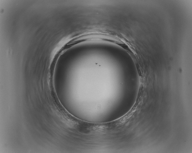 X0000076390152200610161149