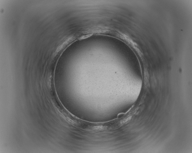 X0000076390153200610161149