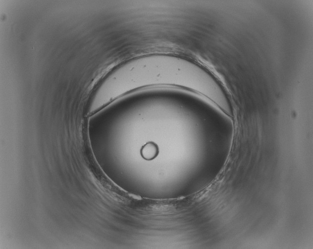 X0000076390154200610161149