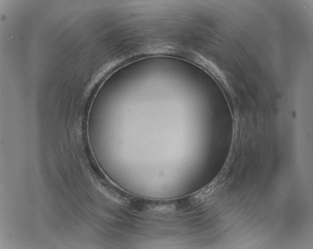 X0000076390155200610161149