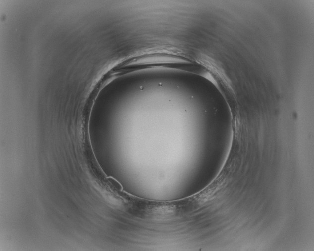 X0000076390156200610161149