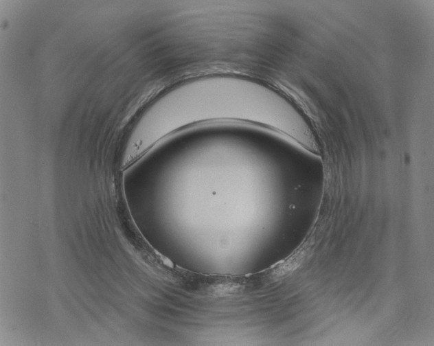 X0000076390158200610161149