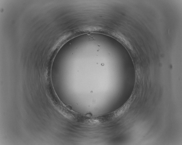 X0000076390159200610161149