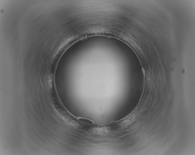 X0000076390160200610161149