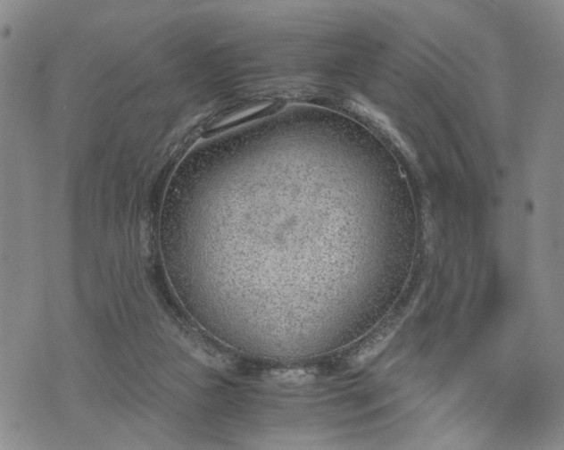 X0000076390161200610161149