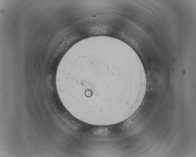 X0000076390162200610161149