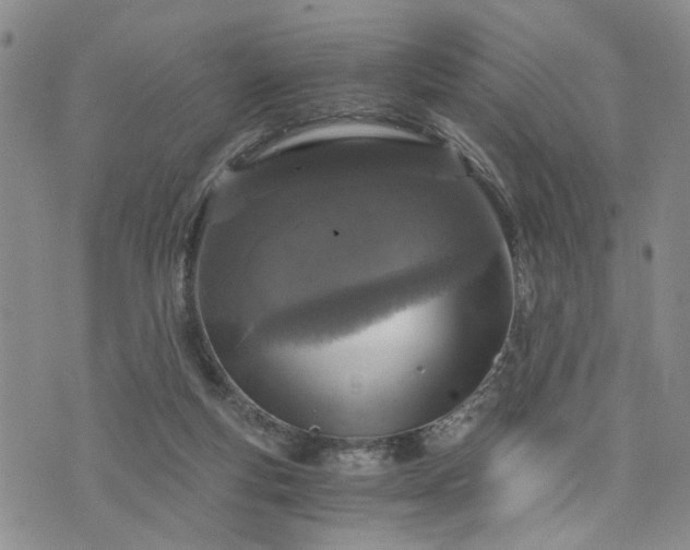 X0000076390163200610161149