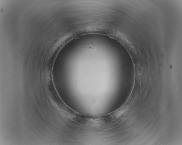 X0000076390164200610161149