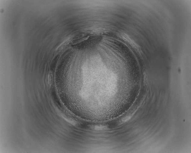 X0000076390165200610161149