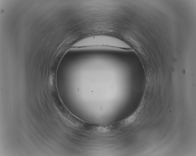 X0000076390166200610161149