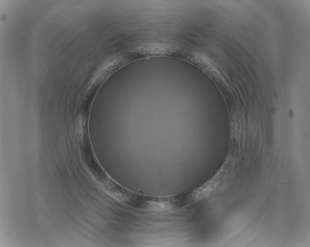 X0000076390167200610161149