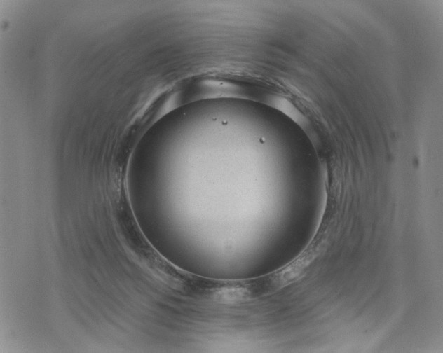 X0000076390168200610161149