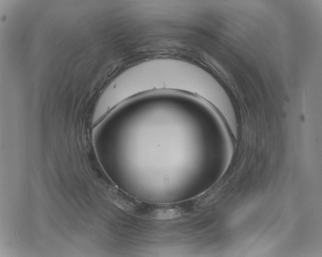 X0000076390169200610161149