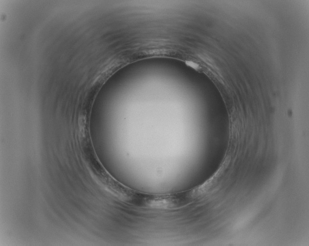 X0000076390171200610161149