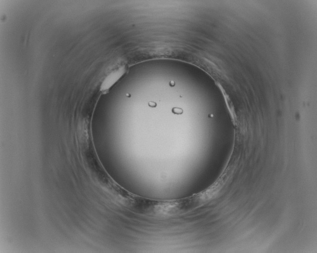 X0000076390172200610161149