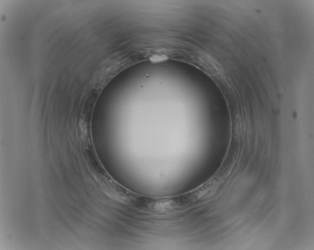 X0000076390173200610161149