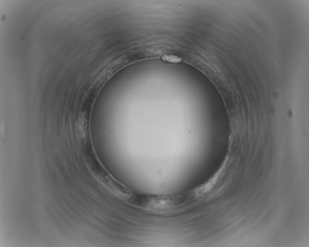 X0000076390174200610161149