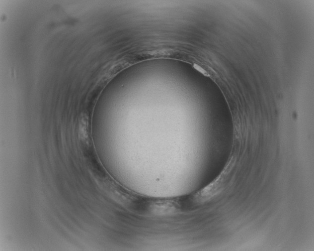 X0000076390175200610161149