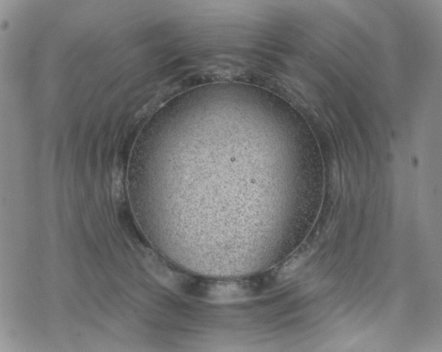 X0000076390177200610161149