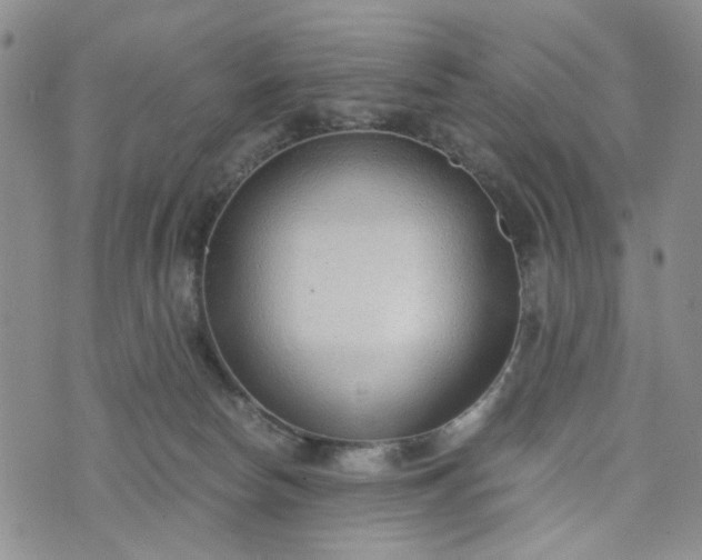 X0000076390178200610161149