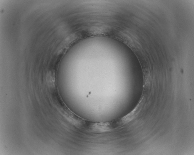 X0000076390179200610161149