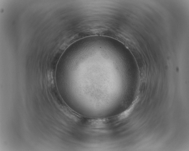 X0000076390182200610161149