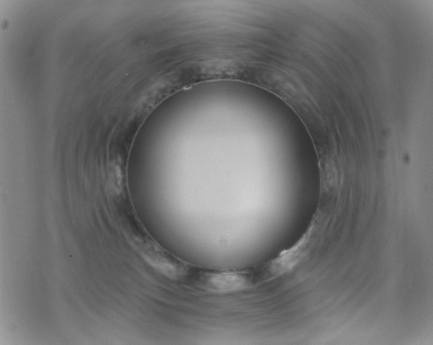 X0000076390183200610161149