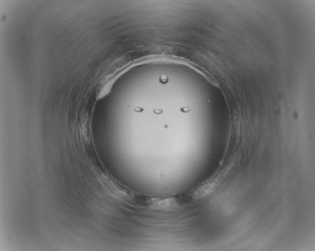 X0000076390185200610161149