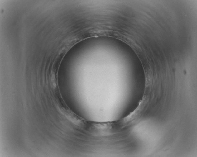 X0000076390187200610161149