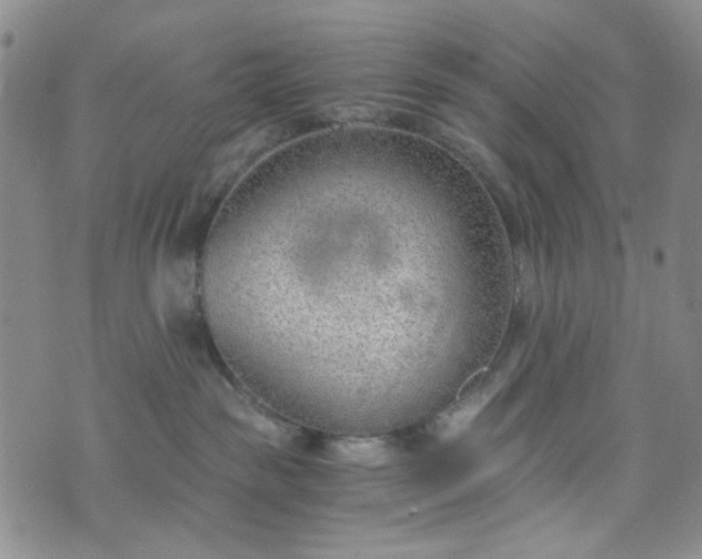 X0000076390189200610161149