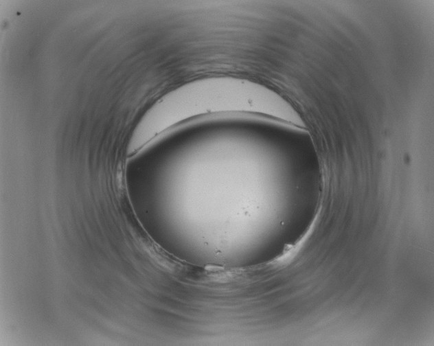 X0000076390190200610161149