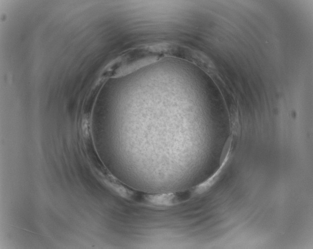 X0000076390191200610161149